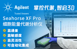 Seahorse XF Pro �(x��)�����x�z�y(c��)�����x