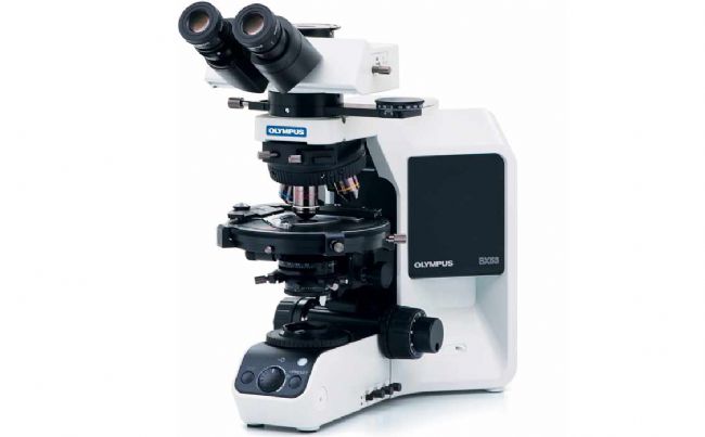 �W�ְ�˹ƫ���@΢�RBX53P�Ĳ������E