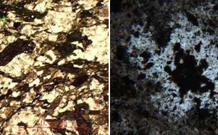 �W�ְ�˹ƫ���@΢�RBX53P�Ĳ������E