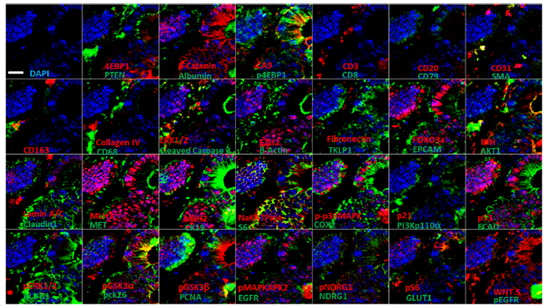 �D���Ñ������������Ԅ�����