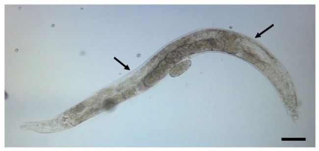 ���x�@΢ע����β�������Ԕ����򞲽�E����aס