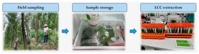 300TC | �C�d�߹��V����x�������޺ڗ���O(ji��n)�y