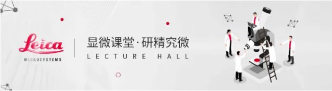 顯微課堂 | 與Helmut Gnaegi一起掌握聚合物超薄切片技術(shù)