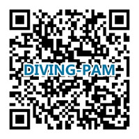 diving-pam���S�a.jpg