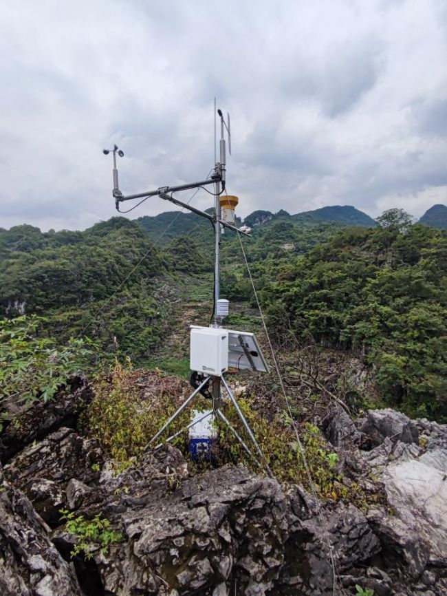 ��ҕ�P(gu��n)ע���o(h��)�G�������F�ݎ�����W(xu��)���ЈF(tu��n)�����ʯĮ��ɽ�^(q��)�ľGɫ���u